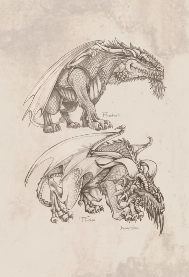 Dragon concept